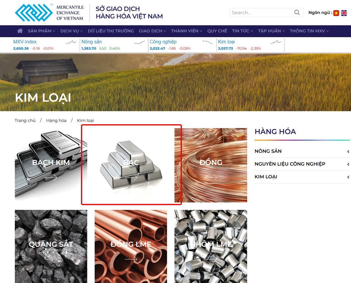 Giá dầu tăng đang âm thầm tạo áp lực lên giá vàng toàn cầu