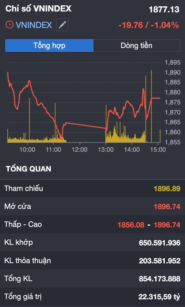 VN-INDEX gãy MA20, khối ngoại xả hơn 3.200 tỷ: Nhịp rũ cung cuối cùng hay thị trường đang bước vào pha giảm mới?