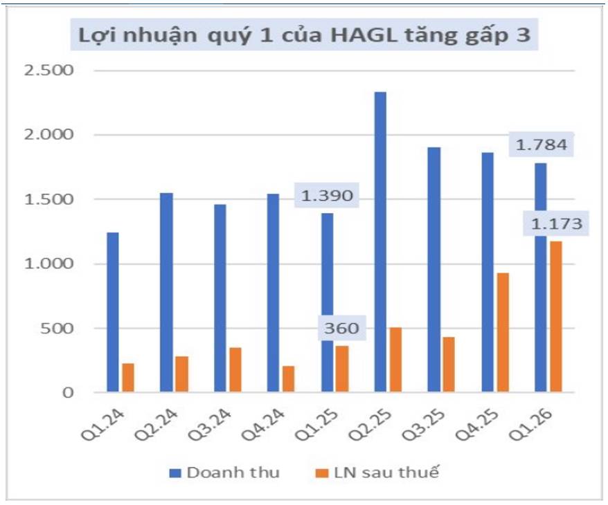 HAG Q1-2026: Lãi đột biến nhờ hoàn nhập chi phí