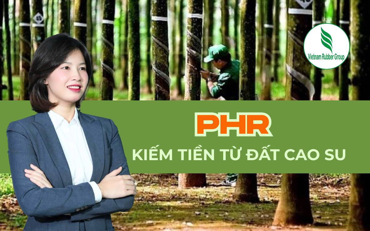 PHR – Khi một công ty cao su kiếm tiền nhờ… đất, chứ không phải mủ