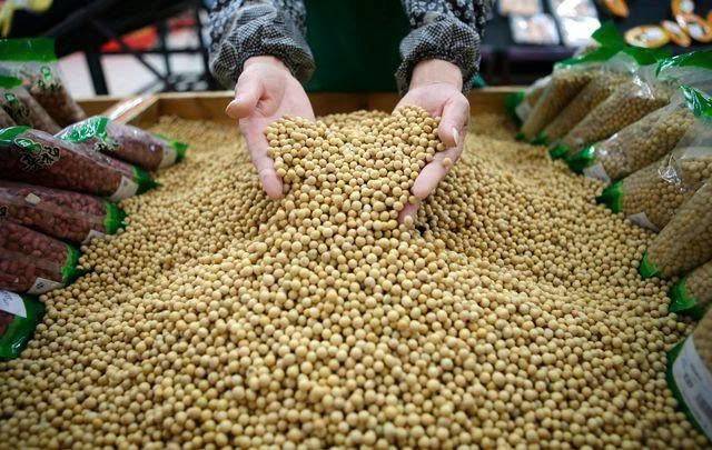 Cơ hội canh mua đậu tương