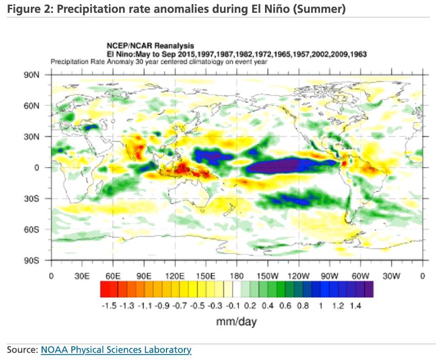 Cú sốc phân bón và El Niño: An ninh lương thực Châu Á đang báo động