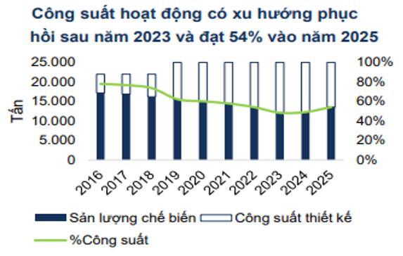 DPR Q1-2026: Tăng trưởng nhờ giá cao su tích cực