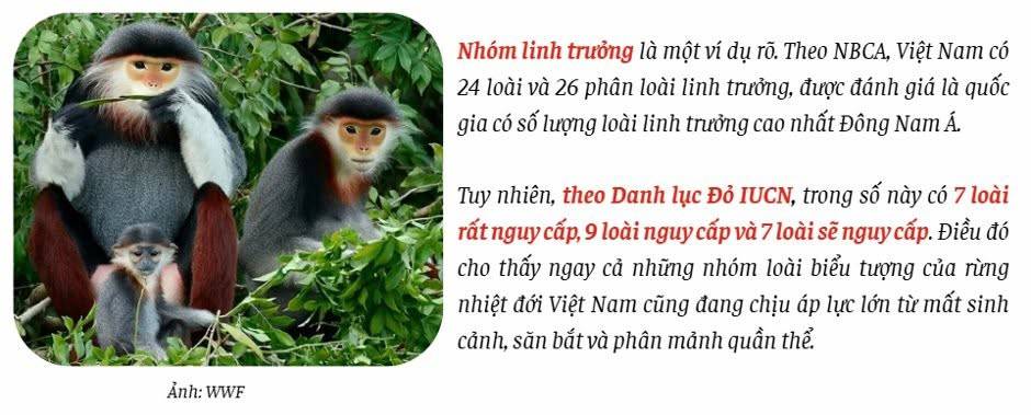 Đa dạng sinh học bên bờ vực suy giảm. Đa dạng sinh học đang suy giảm với tốc độ đáng lo ngại trên phạm  ...