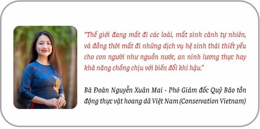 Đa dạng sinh học bên bờ vực suy giảm. Đa dạng sinh học đang suy giảm với tốc độ đáng lo ngại trên phạm  ...