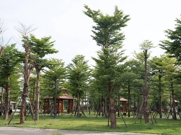 Dự án nhà phố hàng hiệu của Sunshine Group tăng tốc về đích, gần 1.300 căn đã cất nóc. Tâm điểm chú  ...