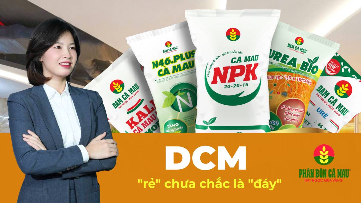 DCM – Lãi tăng 83% nhưng giá đã rơi 27% từ đỉnh