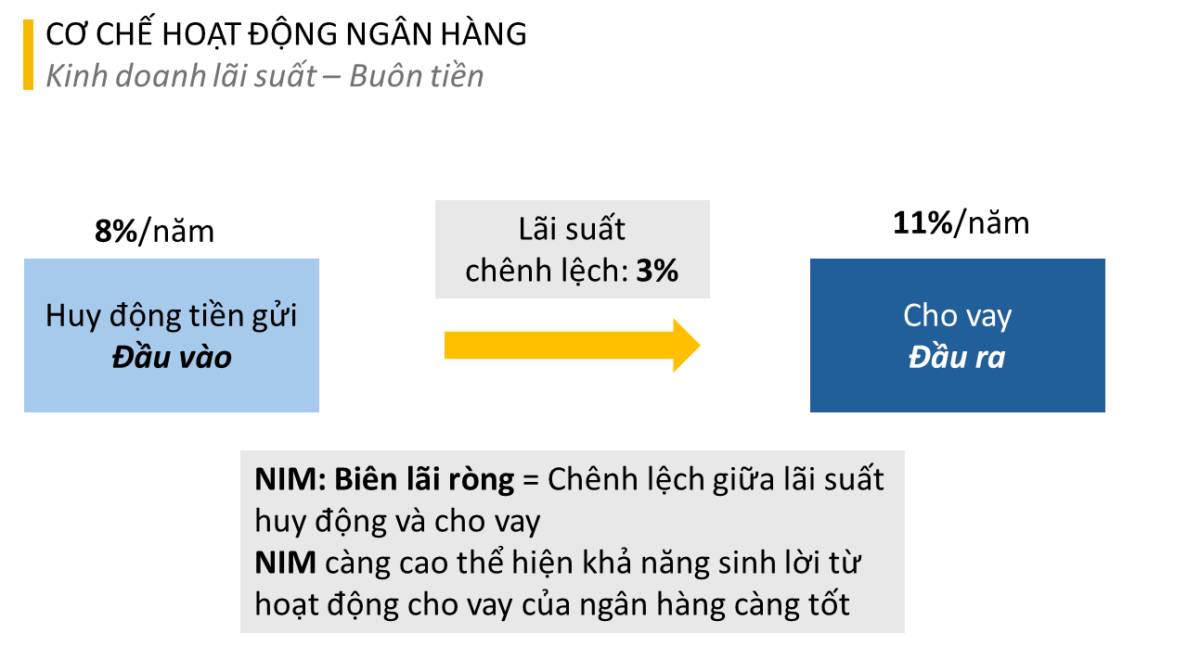Ngân hàng - Toàn cảnh lợi nhuận | Chọn cổ phiếu ngân hàng nào?