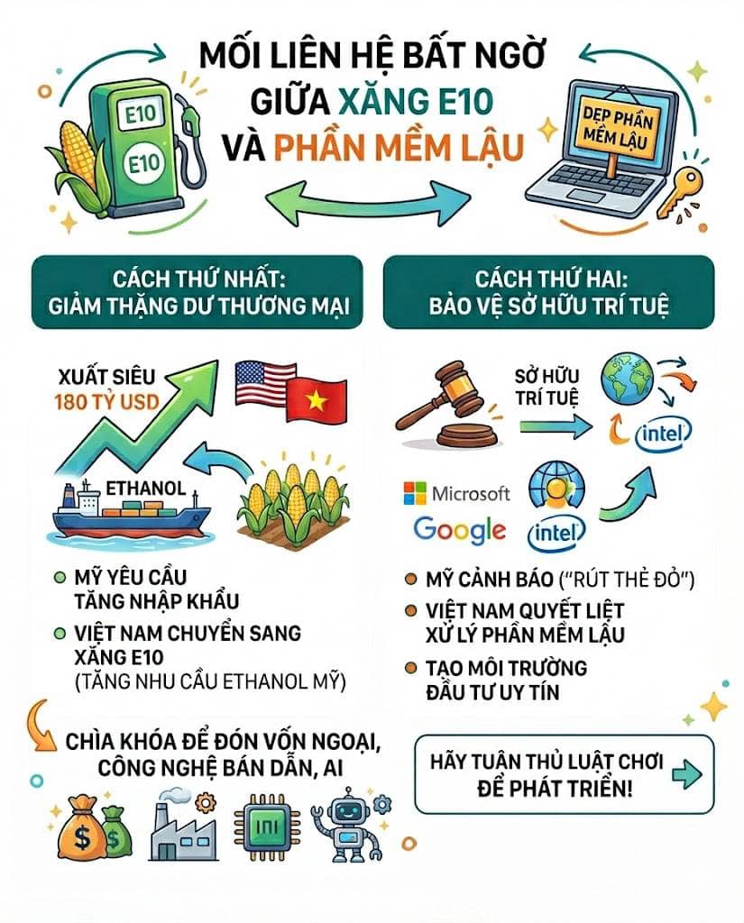 Sợi dây liên kết ngầm giữa việc chuyển đổi sang xăng E10 và chiến dịch dẹp phần mềm lậu