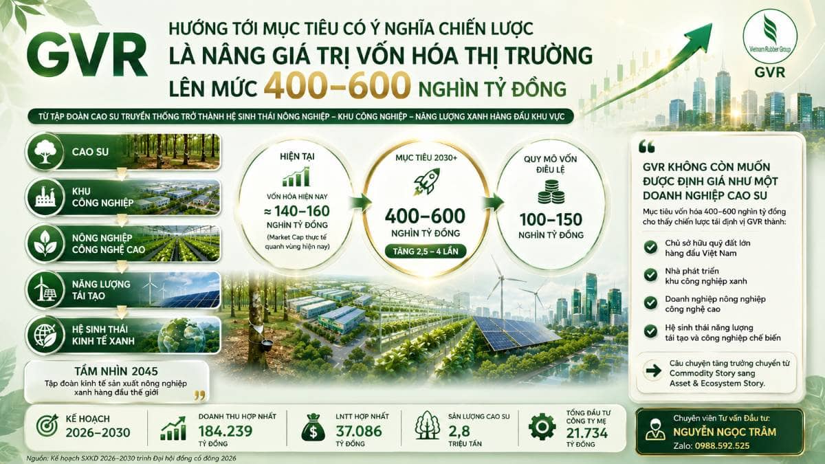 GVR: Từ ông lớn cao su đến câu chuyện tái định giá tài sản 400–600 nghìn tỷ