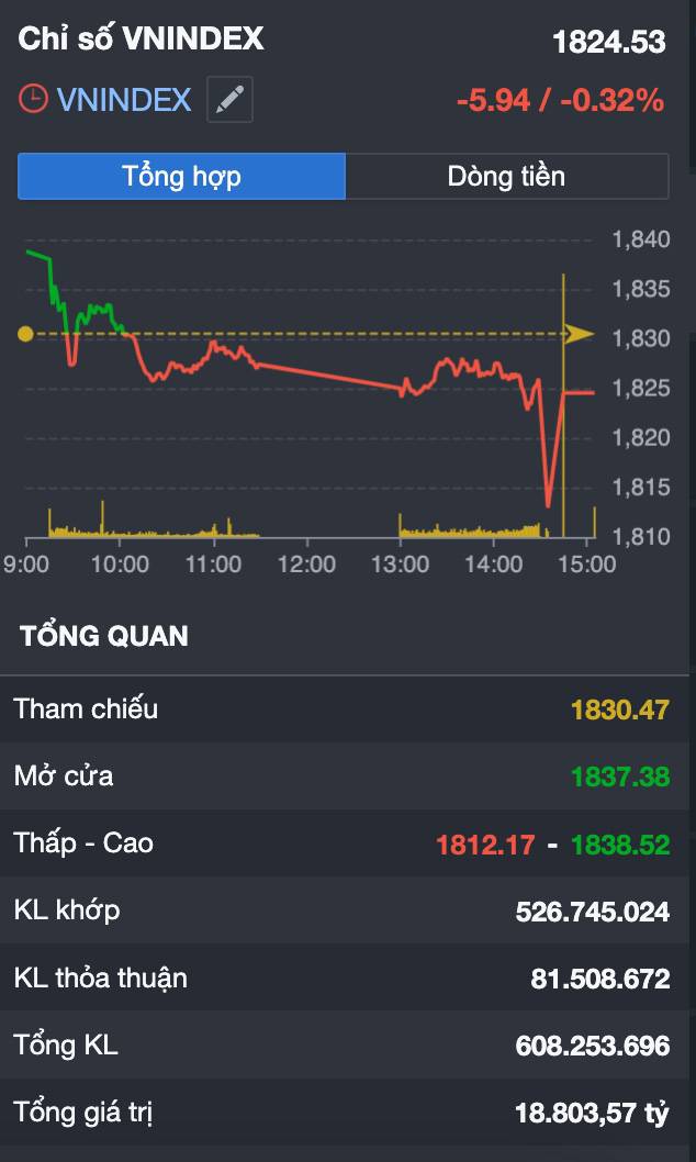 VN-INDEX giảm điểm sau ETF review: Thị trường đang tích luỹ cho nhịp tăng mới hay báo hiệu một đợt điều chỉnh lớn?