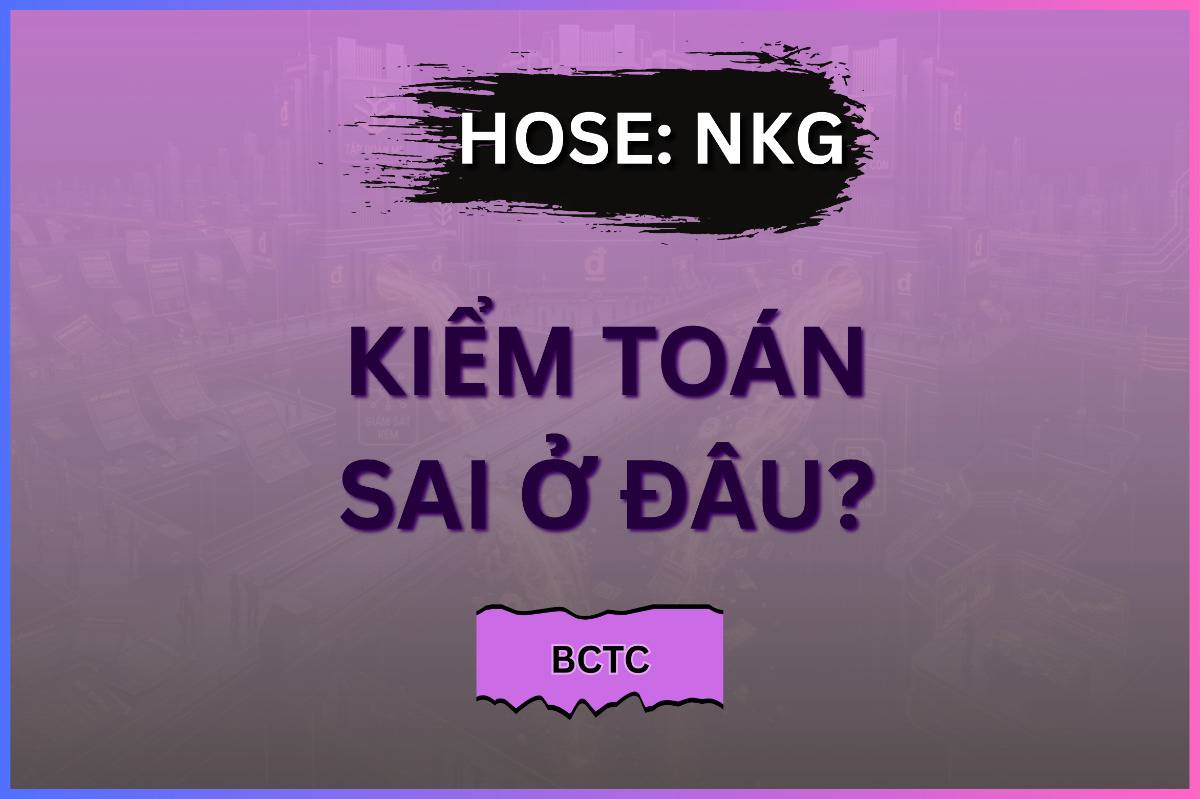 [NKG] Kiểm toán sai ở đâu?