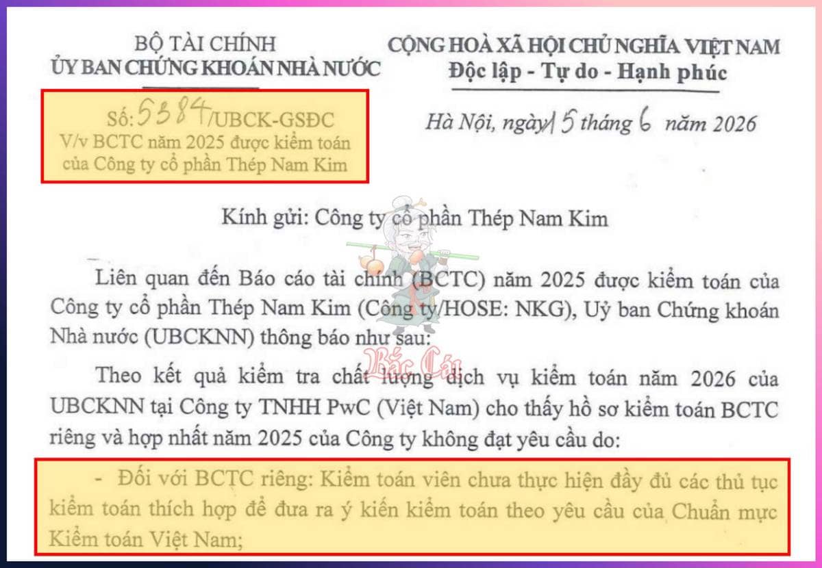 [NKG] Kiểm toán sai ở đâu?