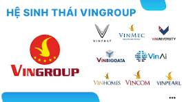 Cổ phiếu cùng đội nhóm họ VIN?