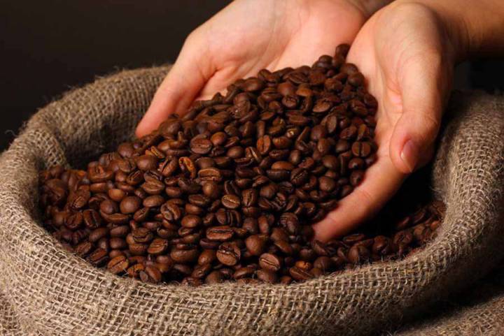Nhận định giá cà phê ngày 8/5: Arabica giảm sâu, Robusta vẫn giữ đà hồi phục