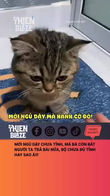 Mới Ngủ Dậy Mà Bắt Trả Bài=))