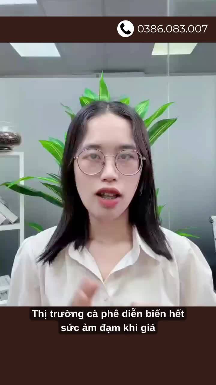 Giá cà phê sẽ giảm đến đâu? Cơ hội để hiểu thị trường vận hành