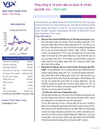 VGI: Báo cáo cập nhật KQKD Q2/2026