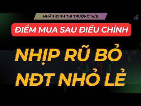 Nhận định thị trường 14/8: nhịp rũ bỏ nđt nhỏ lẻ