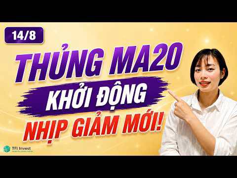 14/8- Thị trường đã phát tín hiệu cảnh báo rủi ro?