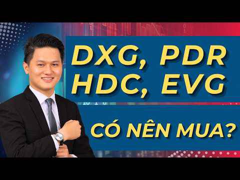 Cổ phiếu DXG, PDR, HDC, EVG - Có nên mua? thực trạng ngành BĐS cuối năm 2026 & đầu 2027 thế nào?