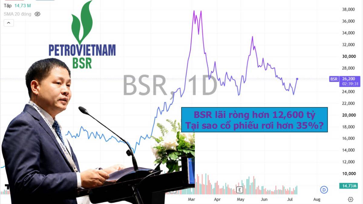Lãi ròng kỷ lục nhưng tại sao giá cổ phiếu rơi hơn 35% từ đỉnh lịch sử chuyện gì đang xảy ra?