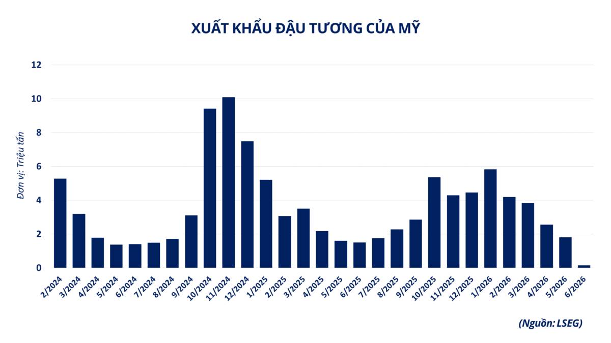 Nguồn cung thắt chặt “tiếp sức” cho đà tăng giá nhóm họ đậu