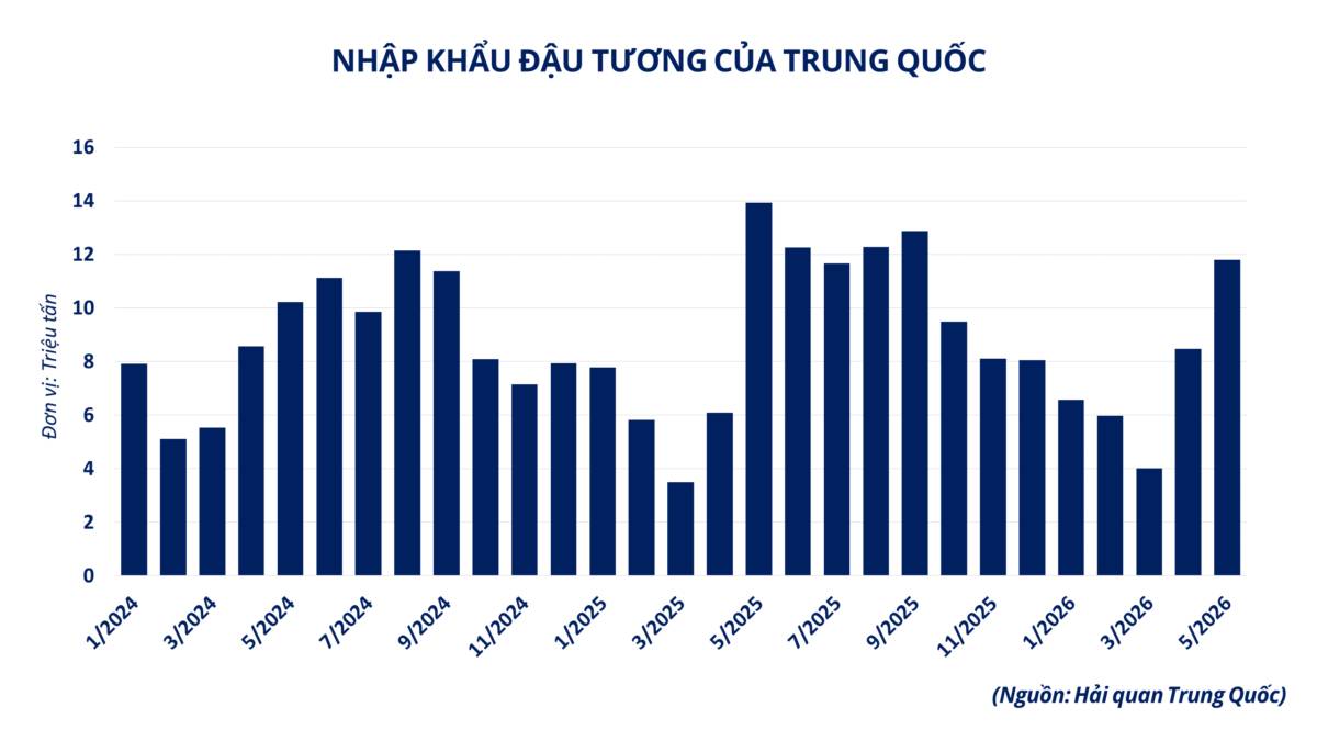 Nguồn cung thắt chặt “tiếp sức” cho đà tăng giá nhóm họ đậu
