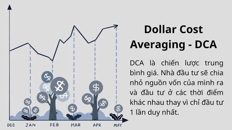 DCA (Đầu Tư Định Kỳ) có thực sự hiệu quả hơn Timing thị trường?
