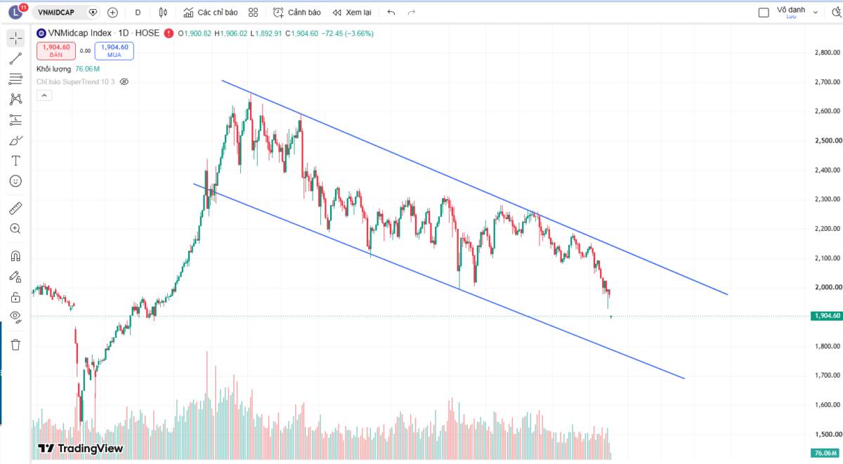 Chứng sĩ ngồi khóc - sóng này midcap xuống tới các mức giá sốc (phần 2)