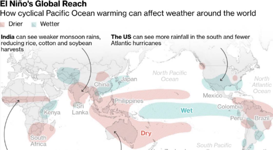El Niño mạnh nhất 75 năm, Biển Đen nổ súng và Cơn bão chuỗi cung ứng lương thực toàn cầu 2026!