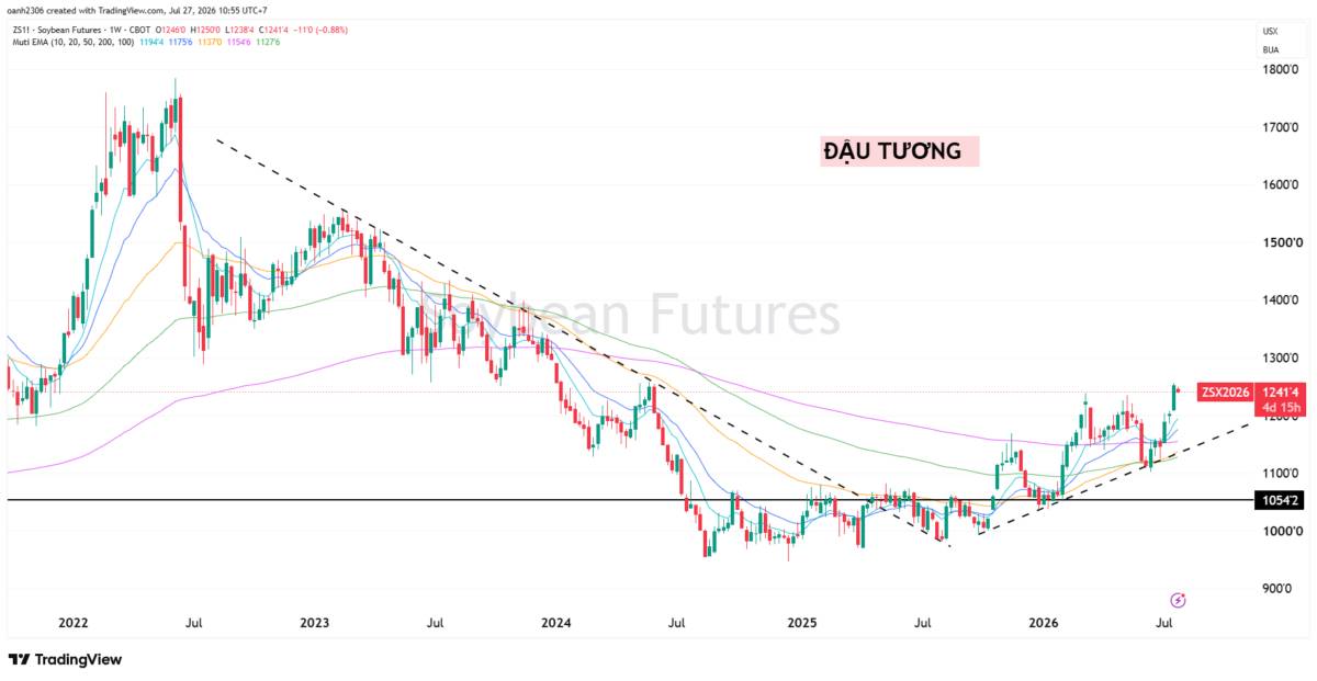 Nhận định nông sản tuần 5 tháng 7 (27/7 - 31/7)