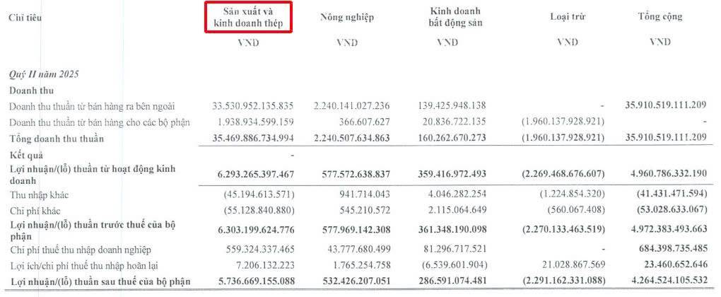Vấn đề hiện tại của HPG đang nằm ở đâu?