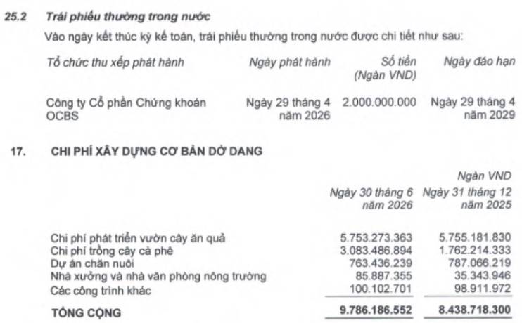 HAG: Tăng trưởng không đến từ hoạt động cốt lõi