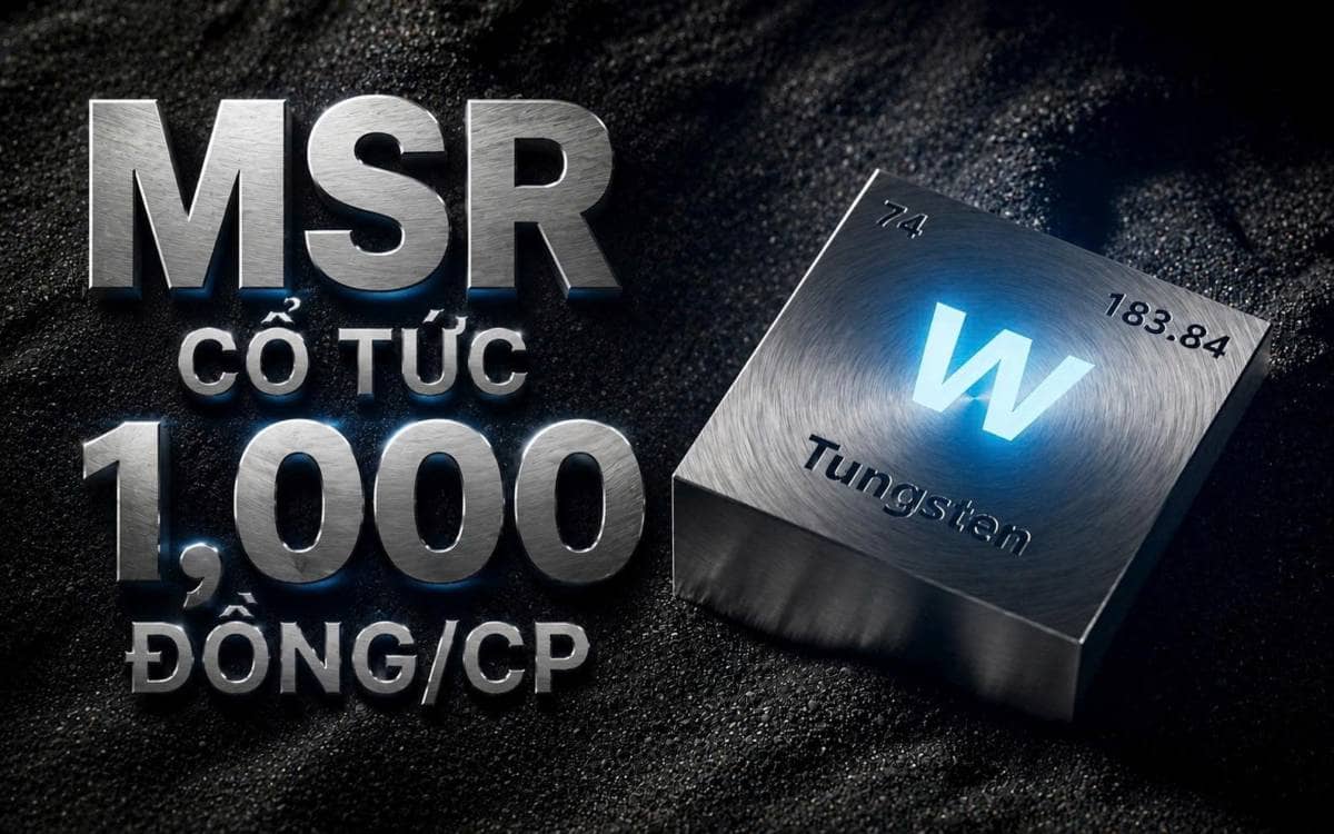 MSR - Dự kiến trả cổ tức tiền mặt lần đầu tiên kể từ khi lên sàn