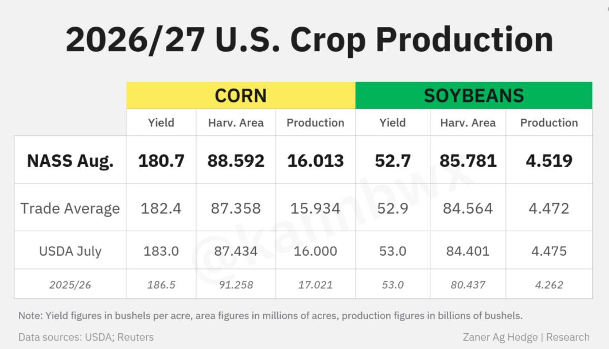 USDA 12/08/2026: ngô được hỗ trợ mạnh, lúa mì tích cực nhẹ, đậu tương kém khả quan