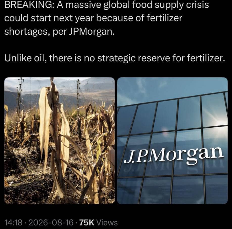 HOT: JPMorgan cảnh báo cuộc khủng hoảng lương thực toàn cầu tiếp theo có thể bùng phát vào năm tới!