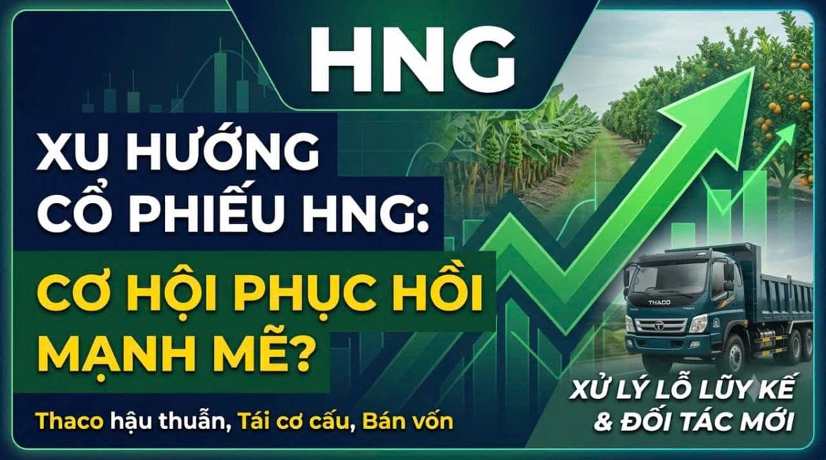 Cổ phiếu HNG (CTCP Nông nghiệp Quốc tế Hoàng Anh Gia Lai - HAGL Agrico) đang bước vào giai đoạn chuyển giao quan trọng