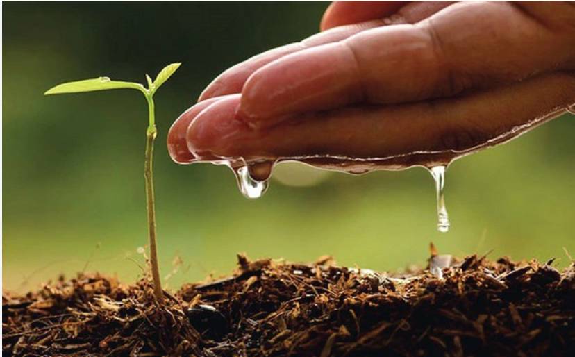 Bao giờ chứng khoán hết ảm đạm!