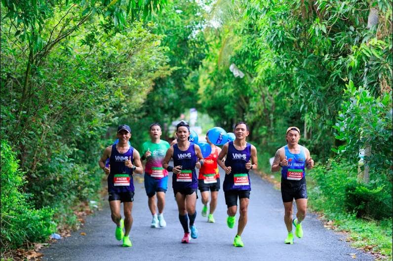 Hàng nghìn runner hẹn nhau về Đồng Tháp khám phá mùa hội VPBank Đất Sen Hồng Music Marathon 2026