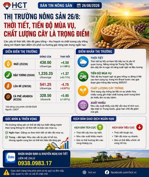 🌾🌽🌱 NÔNG SẢN 26/8: CHẤT LƯỢNG MÙA VỤ MỸ ĐANG XẤU ĐI – GIÁ SẮP CÓ BIẾN ĐỘNG? Tâm điểm thị trường hôm  ...