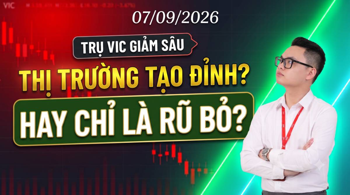 VIC ĐẢO CHIỀU GIẢM MẠNH: THỊ TRƯỜNG TẠO ĐỈNH HAY CHỈ LÀ NHỊP RŨ BỎ KỸ THUẬT?. Đúng như kịch bản "thành  ...