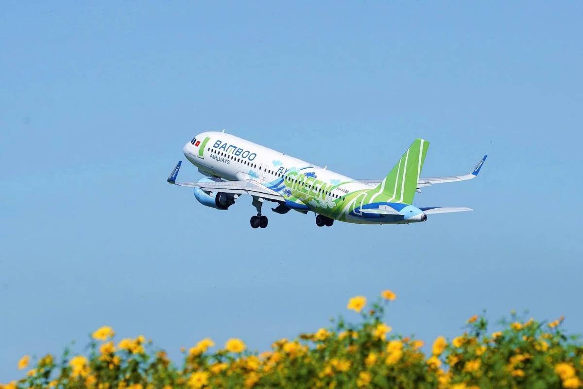 Nhìn lại cú trượt dài của Bamboo Airways - Một giấc mơ đã từng bay rất xa