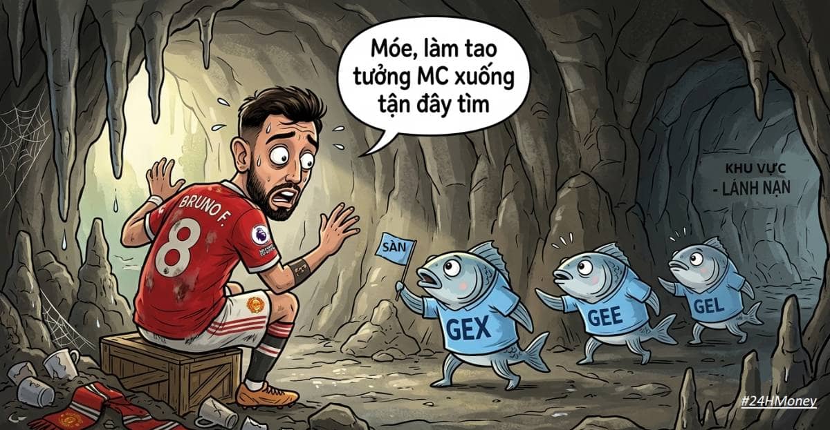 Combo hủy diệt ngày hôm nay: fan của mu kiêm cổ đông của gelex