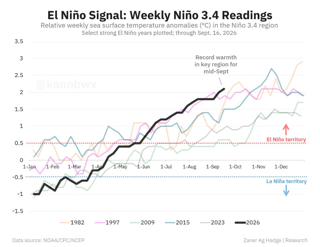 🌾 EL NIÑO MẠNH LÊN – LÚA MỲ ĐANG ĐỨNG TRƯỚC YẾU TỐ HỖ TRỢ MỚI?. Thị trường lúa mỳ thời gian gần đây  ...