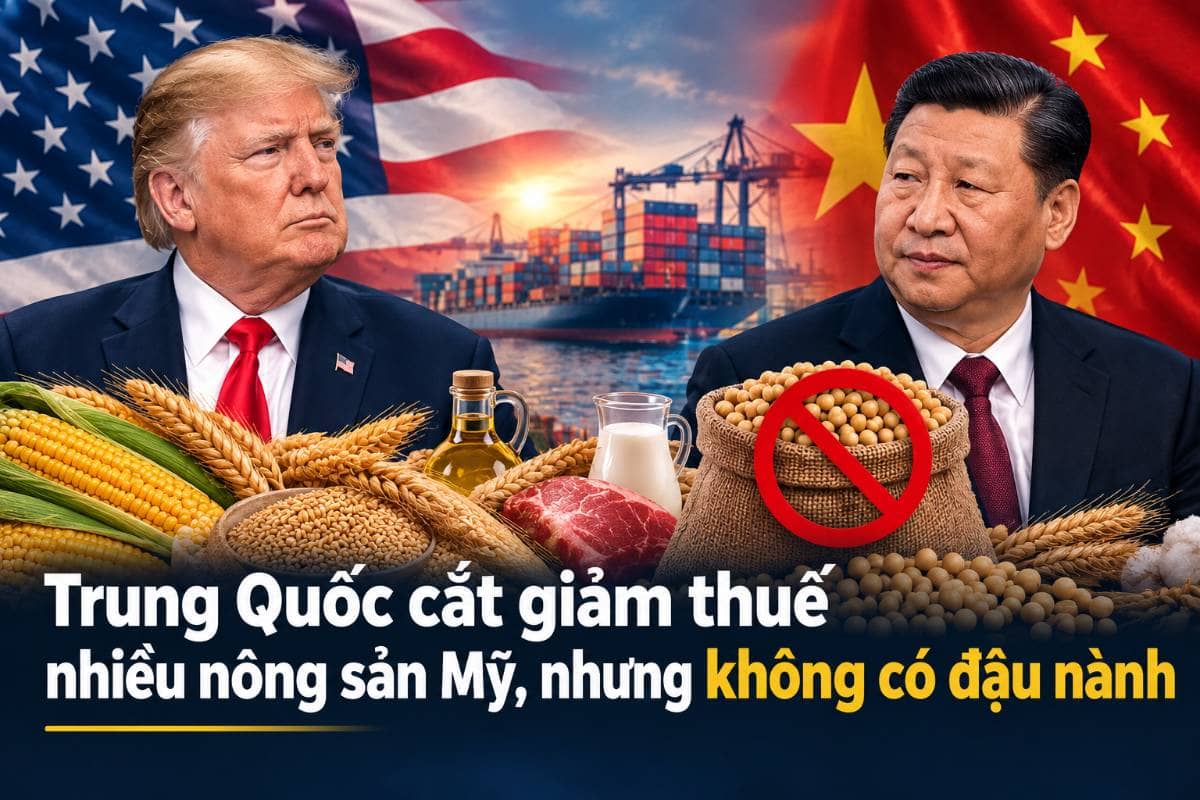 TRUNG QUỐC GIẢM THUẾ NÔNG SẢN MỸ, NHƯNG LOẠI ĐẬU TƯƠNG. Trung Quốc dự kiến cắt giảm thuế đối với một  ...