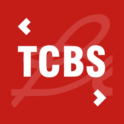 Techcom Securities