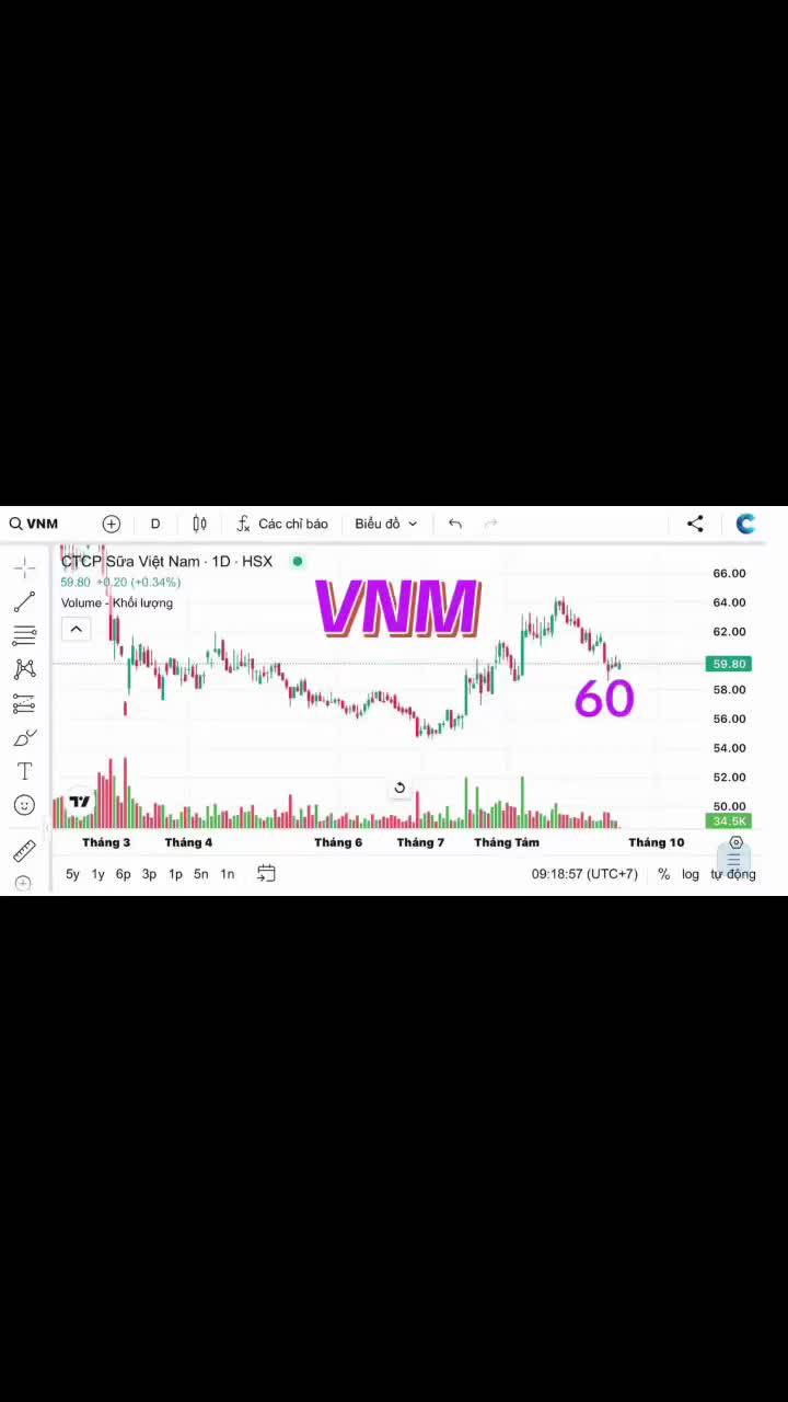 VNM ngày hoàng đế trở về không còn xa! 

Trong vòng 5 năm trở lại đây, cp VNM là chưa có sóng gì rõ ràng hết. Và ở thời điểm này thì đó sẽ là cơ hội là anh em: 

1. Vùng giá quanh 60k là rất tốt ngay thời điểm này (từ ngày 17/09/2026)

2. Về doanh thu và lợi nhuận đều có sự tăng trưởng nhưng giá chưa tương xứng.

3. Xu hướng của VNINDEX giai đoạn này cũng ủng hộ và đặc biết là để tt đi lên cần 1 cp lớn có dư địa đủ lớn. Những cp như dòng VIN vẫn cong tốt nhưng làm sao để kéo lên cao chót vót đượ