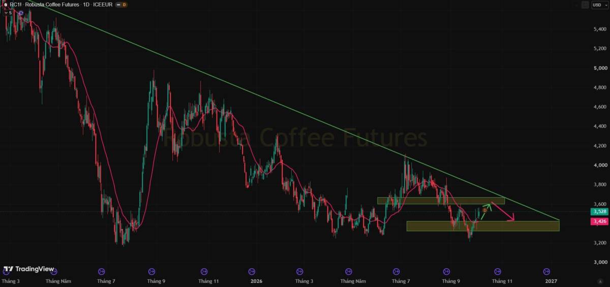 🎯 [06.10] CAFE ROBUSTA RCX26 – KỲ HẠN THÁNG 11/2026. Giá hiện tại đang dao động quanh 3.528, sau nhịp  ...