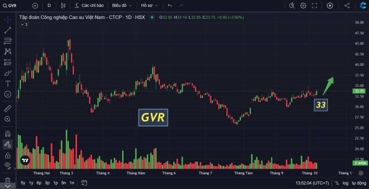 Anh em thêm GVR vào danh mục nữa nhé, cổ phiếu này có thế rất đẹp. Giống như cây cảnh nếu có thế đẹp  ...